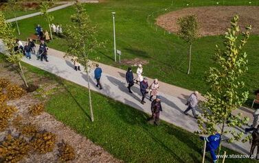 Aleja 500-lecia Staszowa już rośnie! (22.10.2025 r.) 187