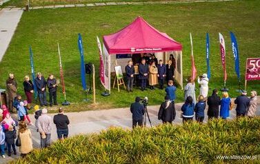 Aleja 500-lecia Staszowa już rośnie! (22.10.2025 r.) 193
