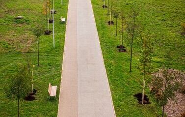 Aleja 500-lecia Staszowa już rośnie! (22.10.2025 r.) 196