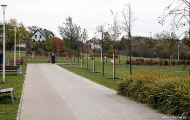 Aleja 500-lecia Staszowa już rośnie! (22.10.2025 r.) 201