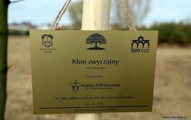 Aleja 500-lecia Staszowa już rośnie! (22.10.2025 r.) 202