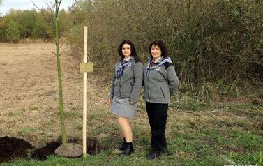 Aleja 500-lecia Staszowa już rośnie! (22.10.2025 r.) 203