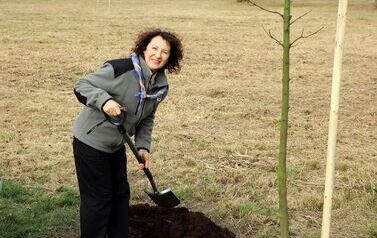 Aleja 500-lecia Staszowa już rośnie! (22.10.2025 r.) 204