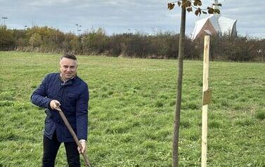 Aleja 500-lecia Staszowa już rośnie! (22.10.2025 r.) 210