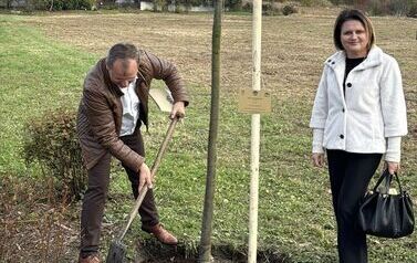 Aleja 500-lecia Staszowa już rośnie! (22.10.2025 r.) 211