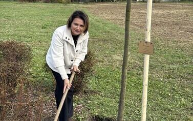 Aleja 500-lecia Staszowa już rośnie! (22.10.2025 r.) 212