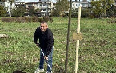 Aleja 500-lecia Staszowa już rośnie! (22.10.2025 r.) 214