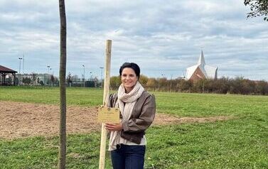 Aleja 500-lecia Staszowa już rośnie! (22.10.2025 r.) 218