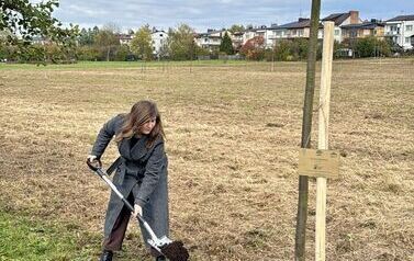 Aleja 500-lecia Staszowa już rośnie! (22.10.2025 r.) 222