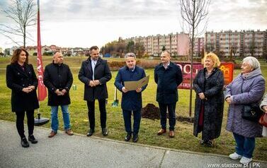 Podsumowanie akcji &bdquo;Aleja 500-lecia Staszowa&rdquo; &ndash; 67 drzew dla miasta (14.11.2025 r.) 6