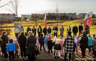 Podsumowanie akcji &bdquo;Aleja 500-lecia Staszowa&rdquo; &ndash; 67 drzew dla miasta (14.11.2025 r.) 11