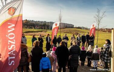 Podsumowanie akcji &bdquo;Aleja 500-lecia Staszowa&rdquo; &ndash; 67 drzew dla miasta (14.11.2025 r.) 13