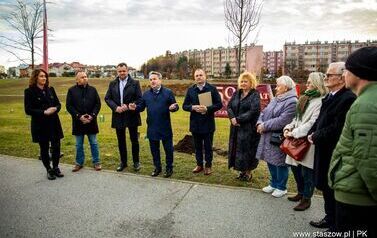 Podsumowanie akcji &bdquo;Aleja 500-lecia Staszowa&rdquo; &ndash; 67 drzew dla miasta (14.11.2025 r.) 14