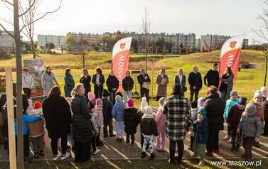 Podsumowanie akcji &bdquo;Aleja 500-lecia Staszowa&rdquo; &ndash; 67 drzew dla miasta (14.11.2025 r.) 15