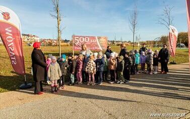 Podsumowanie akcji &bdquo;Aleja 500-lecia Staszowa&rdquo; &ndash; 67 drzew dla miasta (14.11.2025 r.) 21