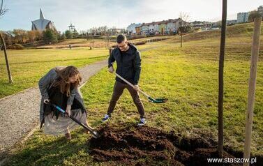 Podsumowanie akcji &bdquo;Aleja 500-lecia Staszowa&rdquo; &ndash; 67 drzew dla miasta (14.11.2025 r.) 27
