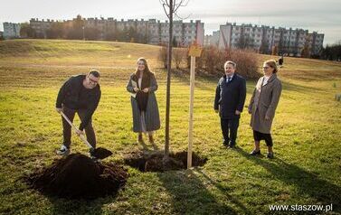 Podsumowanie akcji &bdquo;Aleja 500-lecia Staszowa&rdquo; &ndash; 67 drzew dla miasta (14.11.2025 r.) 28