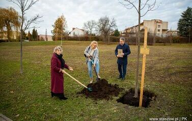 Podsumowanie akcji &bdquo;Aleja 500-lecia Staszowa&rdquo; &ndash; 67 drzew dla miasta (14.11.2025 r.) 33