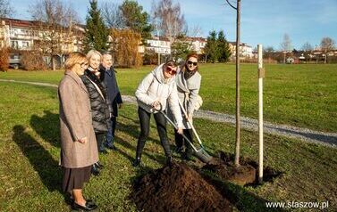 Podsumowanie akcji &bdquo;Aleja 500-lecia Staszowa&rdquo; &ndash; 67 drzew dla miasta (14.11.2025 r.) 38