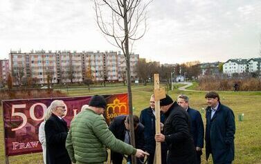 Podsumowanie akcji &bdquo;Aleja 500-lecia Staszowa&rdquo; &ndash; 67 drzew dla miasta (14.11.2025 r.) 39