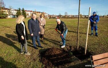 Podsumowanie akcji &bdquo;Aleja 500-lecia Staszowa&rdquo; &ndash; 67 drzew dla miasta (14.11.2025 r.) 40