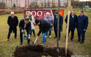 Podsumowanie akcji &bdquo;Aleja 500-lecia Staszowa&rdquo; &ndash; 67 drzew dla miasta (14.11.2025 r.) 41