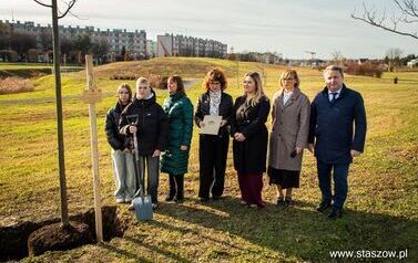 Podsumowanie akcji &bdquo;Aleja 500-lecia Staszowa&rdquo; &ndash; 67 drzew dla miasta (14.11.2025 r.) 42