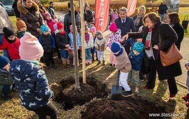 Podsumowanie akcji &bdquo;Aleja 500-lecia Staszowa&rdquo; &ndash; 67 drzew dla miasta (14.11.2025 r.) 43