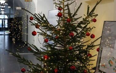 Jarmark Bożonarodzeniowy w Staszowie (14.12.2025 r.) 29