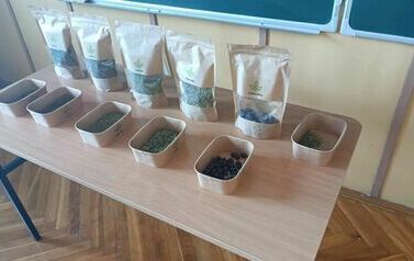 Ekologiczny Projekt Edukacyjny "Jestem przyjacielem Ziemi"- warsztaty ekologiczne 13
