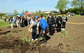 Stasz&oacute;w razem dla Ziemi! (28.29.05.2025 r.) 52