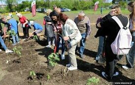 Stasz&oacute;w razem dla Ziemi! (28.29.05.2025 r.) 54