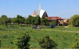 Stasz&oacute;w razem dla Ziemi! (28.29.05.2025 r.) 84