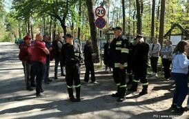 Stasz&oacute;w razem dla Ziemi! (28.29.05.2025 r.) 185