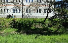 Stasz&oacute;w razem dla Ziemi! (28.29.05.2025 r.) 199