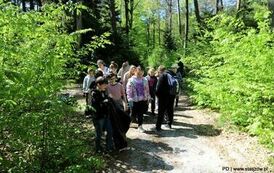Stasz&oacute;w razem dla Ziemi! (28.29.05.2025 r.) 246