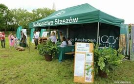 Dzień Dziecka w Staszowie (25.05.2025 r.) 55