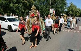 022-IMG_6905