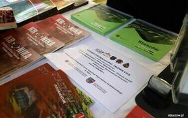 206-IMG_2679