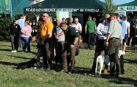 VIII STASZOWSKIE SPOTKANIA Z KULTURĄ ŁOWIECKĄ (20.09.2025 r.) 66