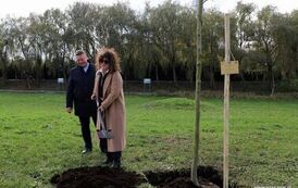 Aleja 500-lecia Staszowa już rośnie! (22.10.2025 r.) 28