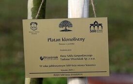 Aleja 500-lecia Staszowa już rośnie! (22.10.2025 r.) 31