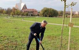 Aleja 500-lecia Staszowa już rośnie! (22.10.2025 r.) 41