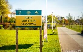 Aleja 500-lecia Staszowa już rośnie! (22.10.2025 r.) 164