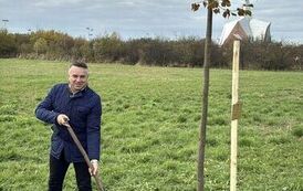 Aleja 500-lecia Staszowa już rośnie! (22.10.2025 r.) 210