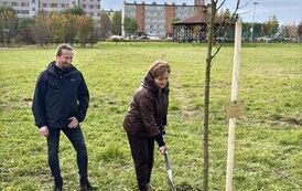 Aleja 500-lecia Staszowa już rośnie! (22.10.2025 r.) 219