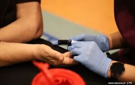 35-IMG_0287