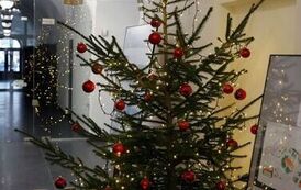 Jarmark Bożonarodzeniowy w Staszowie (14.12.2025 r.) 29