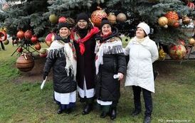 Jarmark Bożonarodzeniowy w Staszowie (14.12.2025 r.) 68