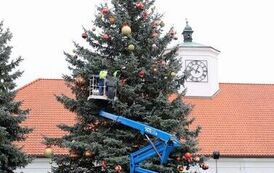 Jarmark Bożonarodzeniowy w Staszowie (14.12.2025 r.) 125